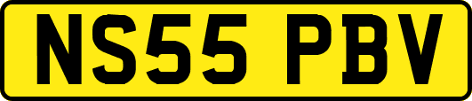 NS55PBV