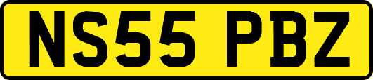 NS55PBZ