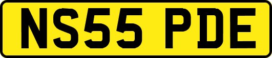 NS55PDE