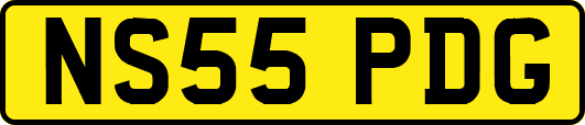 NS55PDG