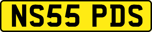 NS55PDS