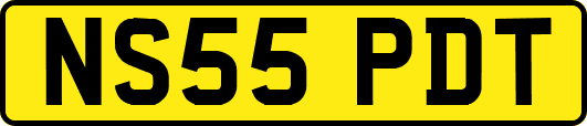 NS55PDT