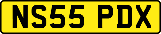 NS55PDX