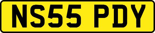 NS55PDY