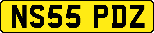NS55PDZ