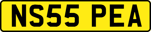 NS55PEA