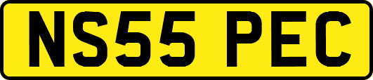 NS55PEC