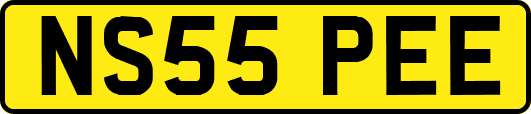 NS55PEE