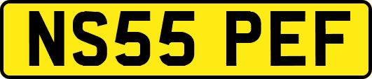 NS55PEF