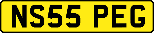 NS55PEG