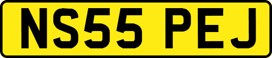 NS55PEJ