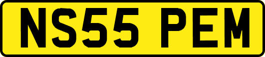 NS55PEM