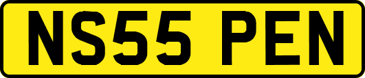 NS55PEN
