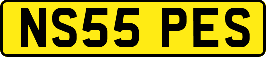 NS55PES