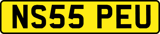 NS55PEU