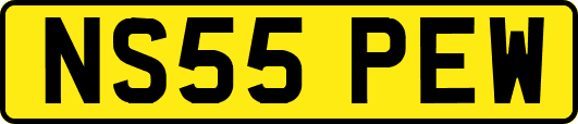 NS55PEW