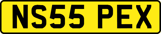NS55PEX