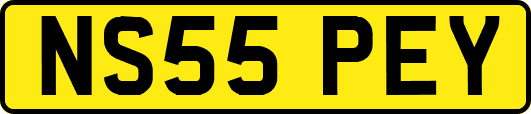 NS55PEY
