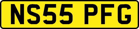 NS55PFG