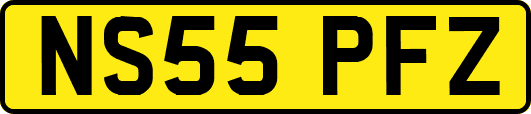 NS55PFZ