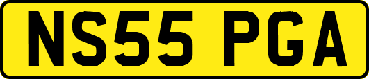 NS55PGA