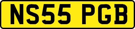 NS55PGB