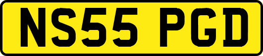 NS55PGD