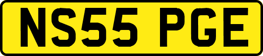 NS55PGE