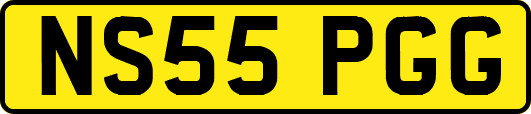 NS55PGG