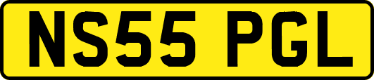 NS55PGL