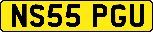 NS55PGU