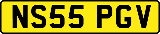 NS55PGV
