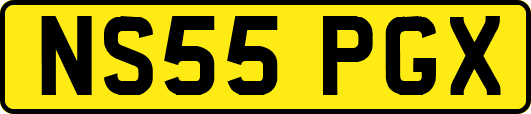 NS55PGX