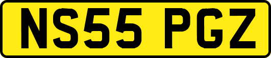 NS55PGZ