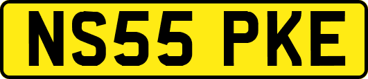 NS55PKE