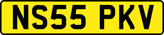 NS55PKV