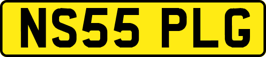 NS55PLG
