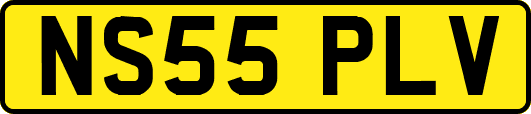 NS55PLV