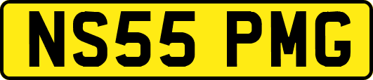 NS55PMG