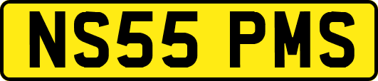 NS55PMS