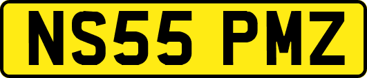 NS55PMZ