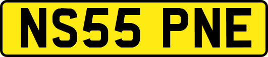 NS55PNE
