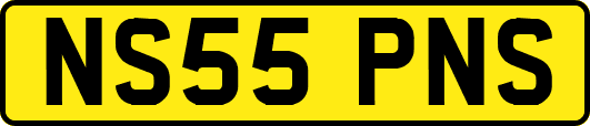 NS55PNS