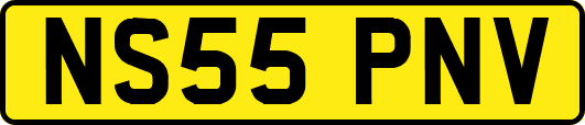 NS55PNV