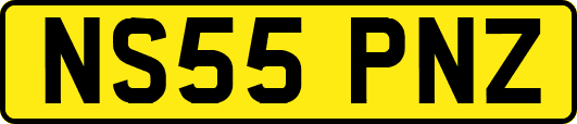 NS55PNZ