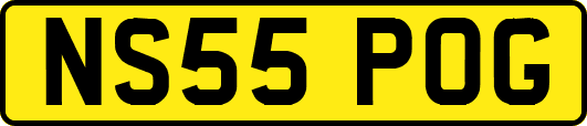 NS55POG