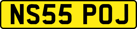 NS55POJ