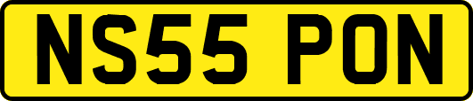 NS55PON