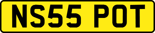 NS55POT