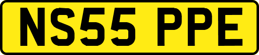 NS55PPE